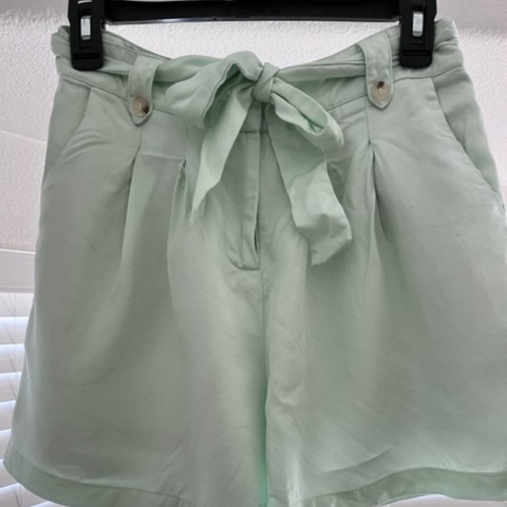 Frnch Paris Mint trouser shorts